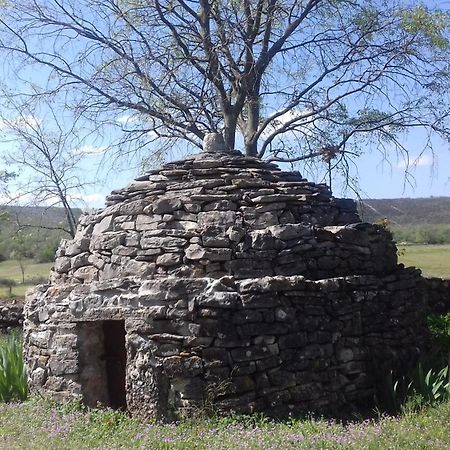 Family Friendly Holiday Home "Ana" Šibenik Exteriör bild