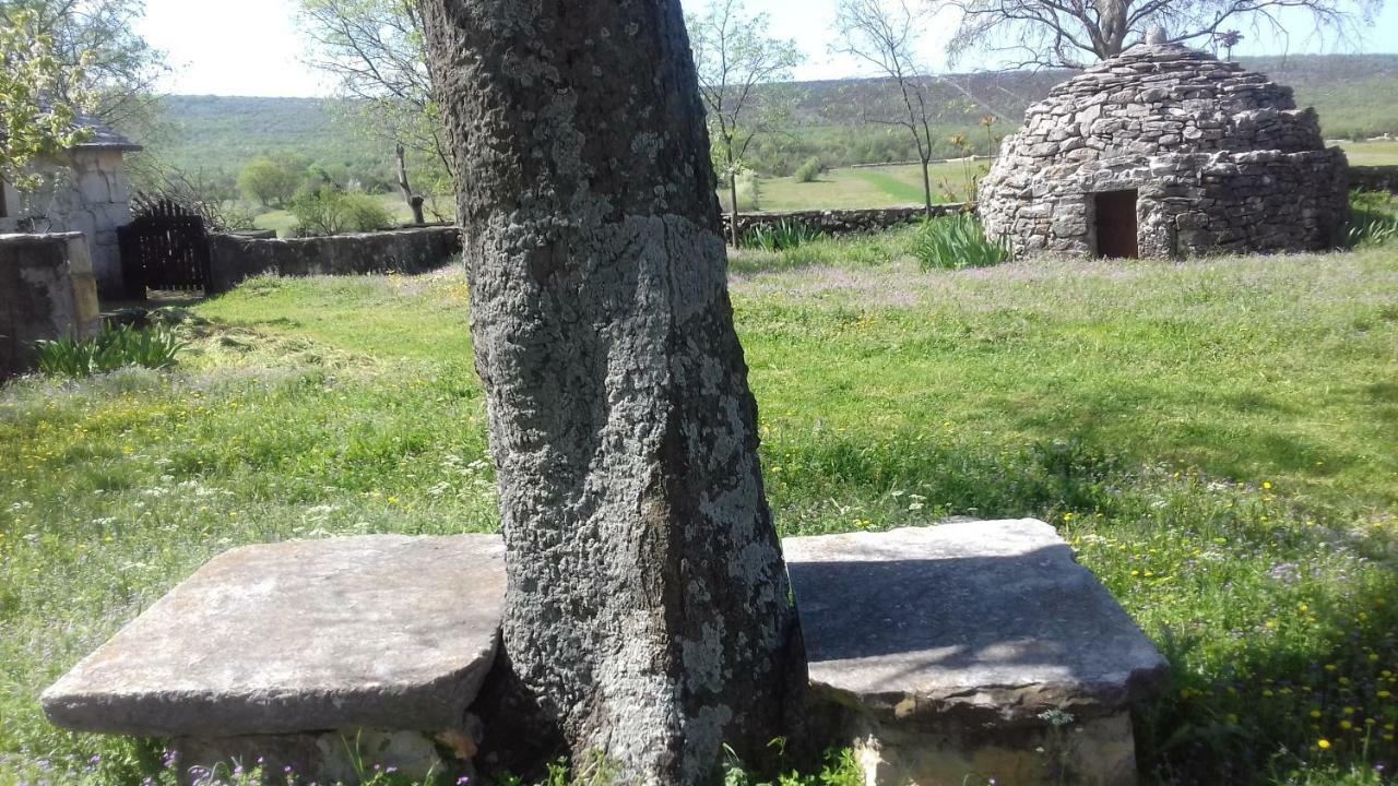 Family Friendly Holiday Home "Ana" Šibenik Exteriör bild