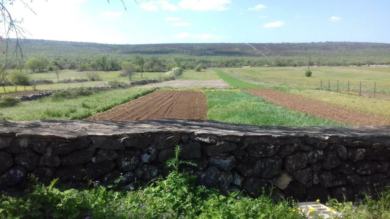 Family Friendly Holiday Home "Ana" Šibenik Exteriör bild