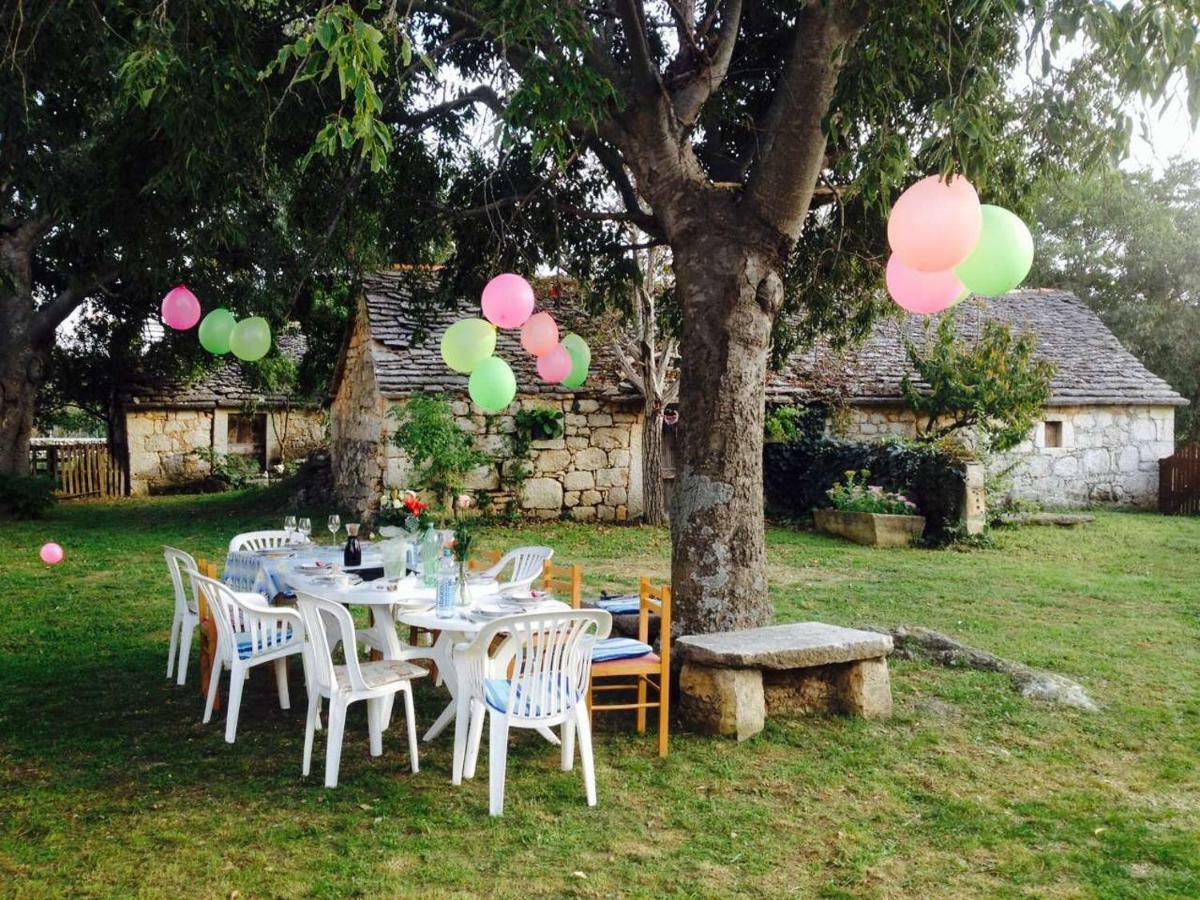 Family Friendly Holiday Home "Ana" Šibenik Exteriör bild